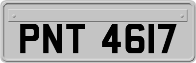 PNT4617