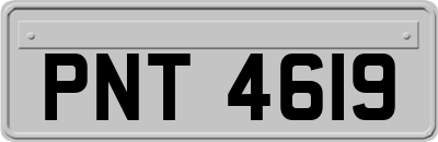 PNT4619