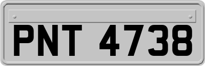 PNT4738