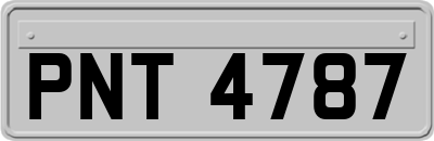 PNT4787