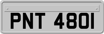 PNT4801
