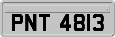 PNT4813