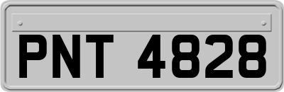 PNT4828