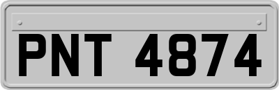 PNT4874