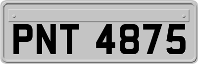 PNT4875