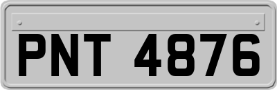 PNT4876
