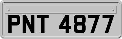 PNT4877