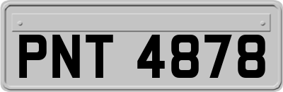 PNT4878