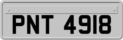 PNT4918