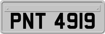 PNT4919