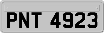 PNT4923