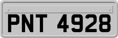 PNT4928