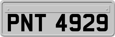 PNT4929