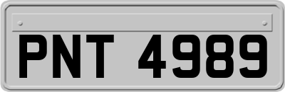 PNT4989