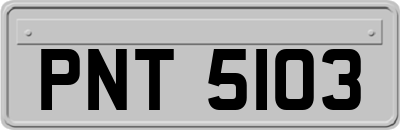 PNT5103