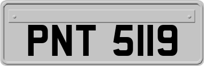 PNT5119