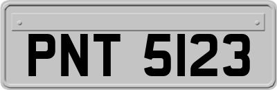 PNT5123