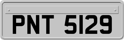 PNT5129
