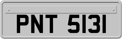 PNT5131
