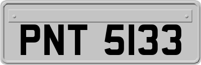 PNT5133