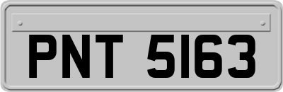 PNT5163