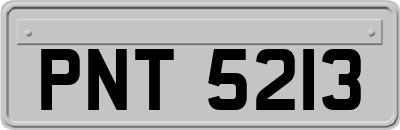 PNT5213