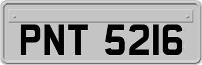 PNT5216