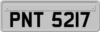 PNT5217