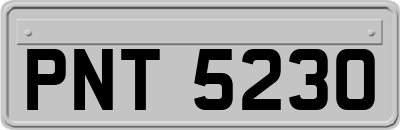 PNT5230