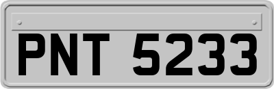 PNT5233