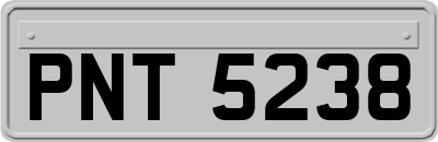 PNT5238