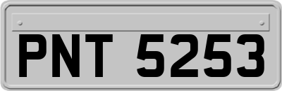 PNT5253
