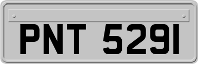 PNT5291