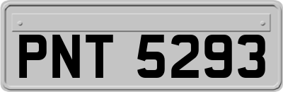 PNT5293
