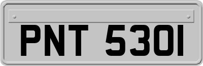 PNT5301