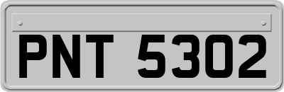 PNT5302