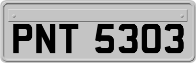 PNT5303