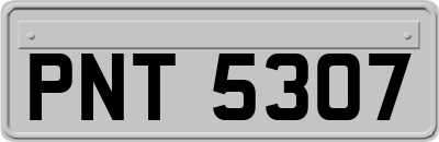 PNT5307