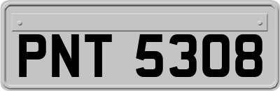 PNT5308