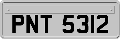 PNT5312