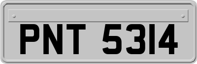 PNT5314