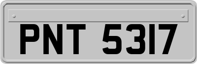 PNT5317