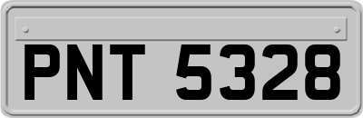PNT5328