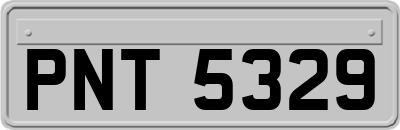 PNT5329
