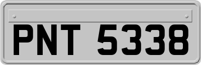 PNT5338