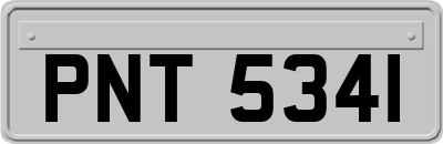 PNT5341