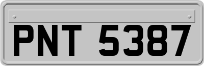 PNT5387