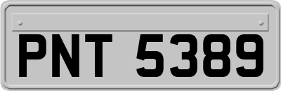 PNT5389