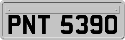 PNT5390