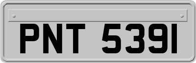 PNT5391